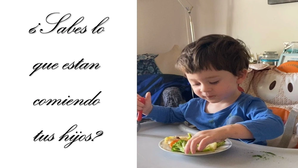 Cocina Saludable FitLife